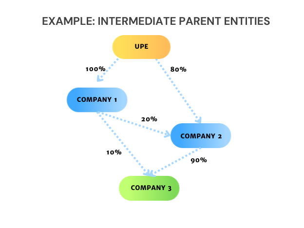 Intermediate Parent Entities