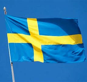 Swedish Flag