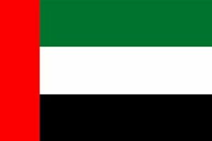 UAE flag