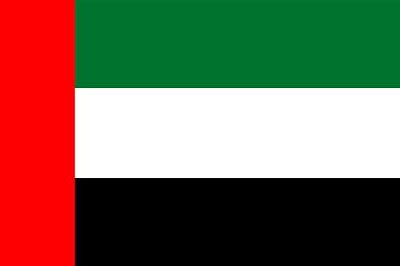 UAE flag